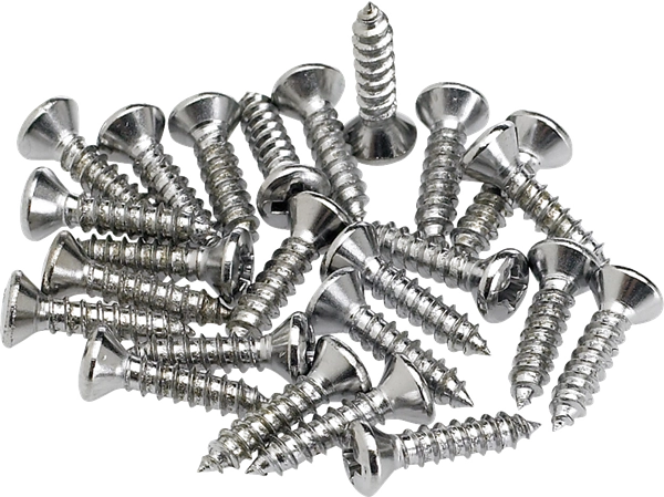 Pickguard/Control Plate Mounting Screws (24) - Chrome