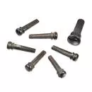 DAddario - PWPS1 Ebony Bridge Pins with End Pin Set