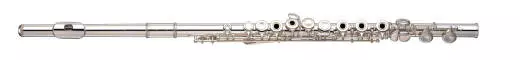Intermediate Flute - Offset G - B Footjoint - Sterling Silver