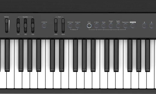 FP-90X Weighted Key Digital Piano - Black