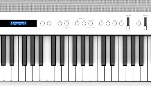 FP-90X Weighted Key Digital Piano - White