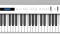FP-90X Weighted Key Digital Piano - White