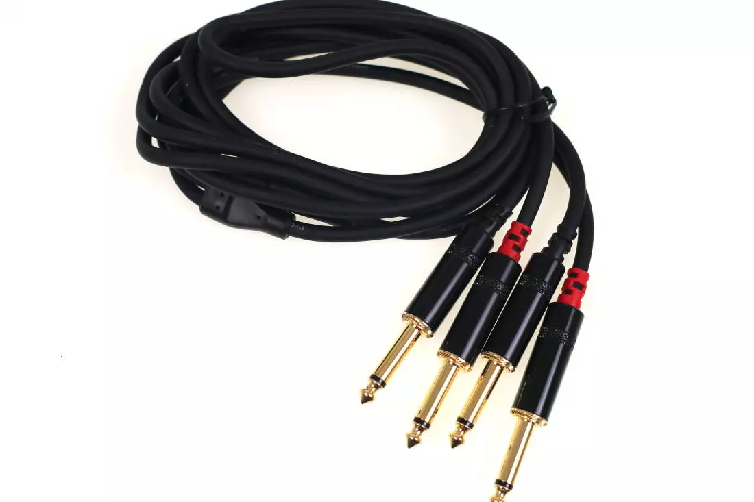 Link Audio Premium Dual 1/4- to 1/4 Cable - 10 foot