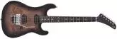 EVH - 5150 Series Deluxe Poplar Burl, Ebony Fingerboard - Black Burst