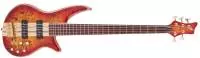 Jackson Guitars - Pro Series Spectra Bass SB V Poplar Burl, Caramelized Jatoba Fingerboard - Transparent Cherry Burst