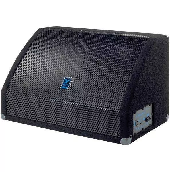 EM378 350-Watt 12+2\'\' Floor Monitor