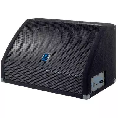EM378  350-Watt 12+2\'\' Floor Monitor