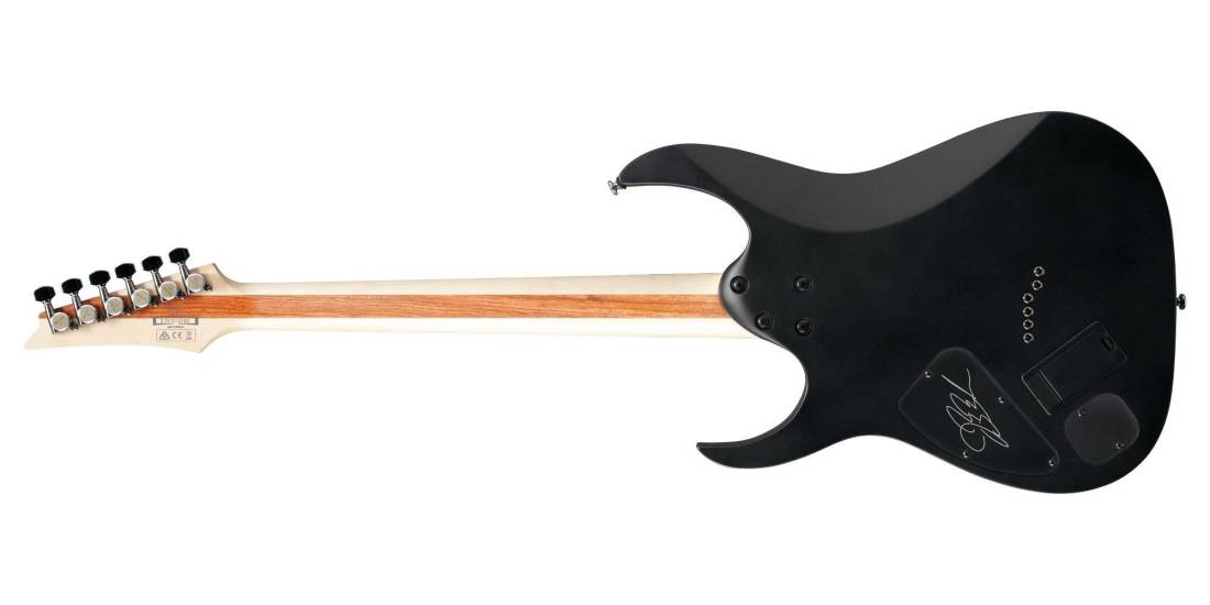 Ibanez JBBM30 JB Brubaker Signature Electric Guitar Black Flat Long