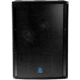 21\'\' Horn-Loaded Subwoofer