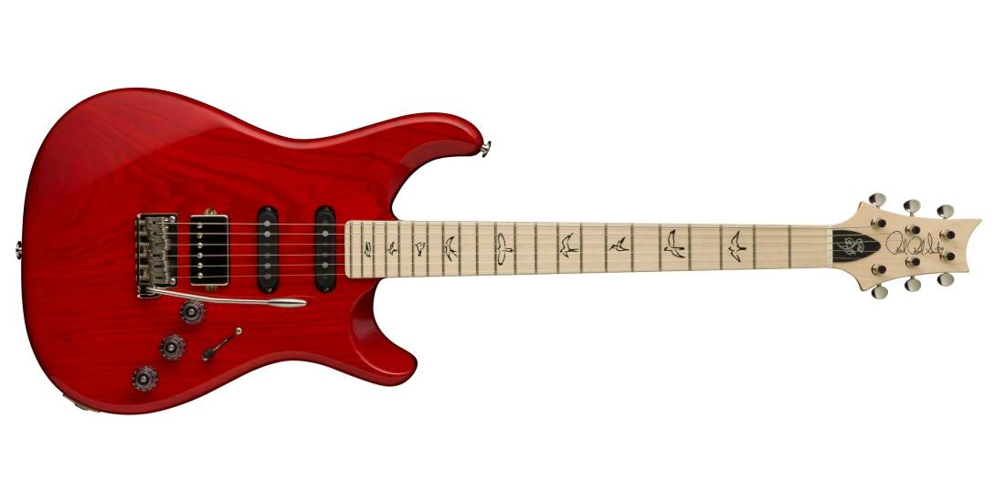 Fiore Electric Guitar - Amaryliss