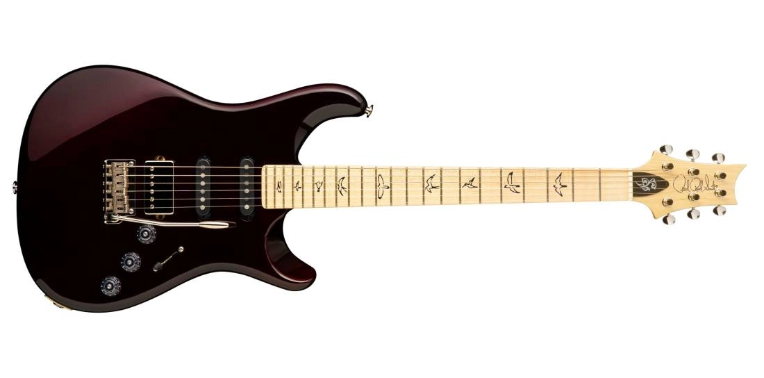 Fiore Electric Guitar - Black Iris