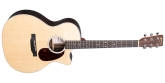 Martin Guitars - GPC-13E Ziricote Road Series Acoustic\/Electric Guitar with Gigbag