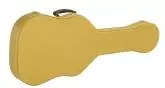 Fender - Telecaster Thermometer Case - Tweed