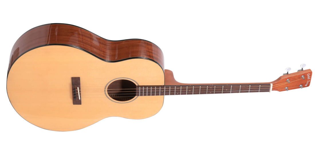 TG-18 Spruce/Mahogany Tenor Guitar
