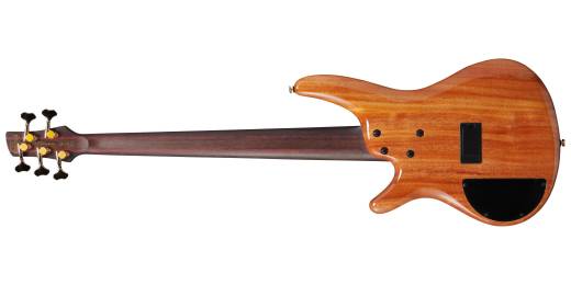SR1600DW SR Premium 5-String Bass with Gigbag - Autumn Sunset Sky