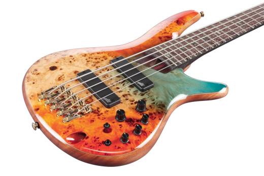 SR1600DW SR Premium 5-String Bass with Gigbag - Autumn Sunset Sky