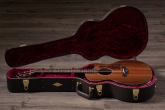 PS14ce Honduran Rosewood - Presentation Series GA Acoustic-Electric w/Case