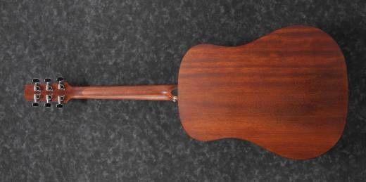 AAD100 Acoustic Guitar - Open Pore Natural
