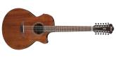 Ibanez - AE2912 Acoustic/Electric Guitar - Natural Low Gloss