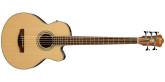 Ibanez - AEB105E Acoustic/Electric 5-String Bass Guitar - Natural High Gloss