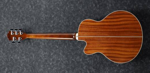 AEB105E Acoustic/Electric 5-String Bass Guitar - Natural High Gloss