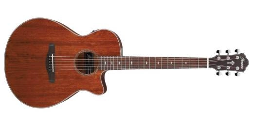 AEG220 Acoustic/Electric Guitar - Natural Low Gloss