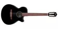 Ibanez - AEG50N Acoustic\/Electric Guitar - Black High Gloss