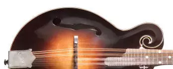 F-5G Custom Autumn Burst F-Style Mandolin