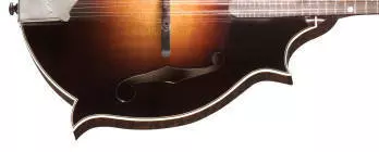 F-5G Custom Autumn Burst F-Style Mandolin