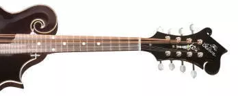 F-5G Custom Autumn Burst F-Style Mandolin