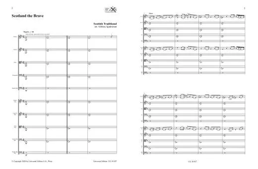 Strings of the World, Volume 1 - Igudesman - String Ensemble (Flexible) - Score - Book