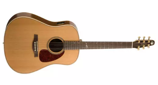 Artist Mosaic Deluxe QII Guitar w/Tric Case