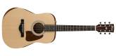 Ibanez - AW50JR Dreadnought Junior Acoustic Guitar with Gigbag - Open Pore Natural