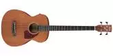 Ibanez - PCBE12MH Grand Concert Acoustic\/Electric Bass Guitar - Open Pore Natural