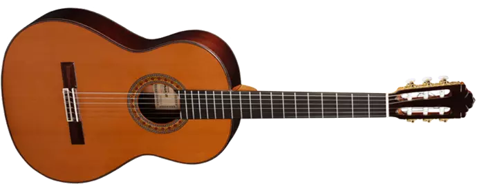 A-459 Classical Guitar - Red Cedar/Indian Rosewood