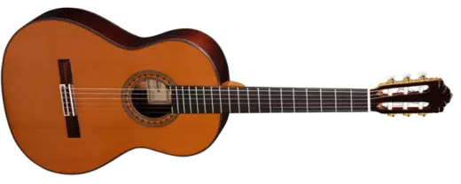 A-459 Classical Guitar - Red Cedar/Indian Rosewood
