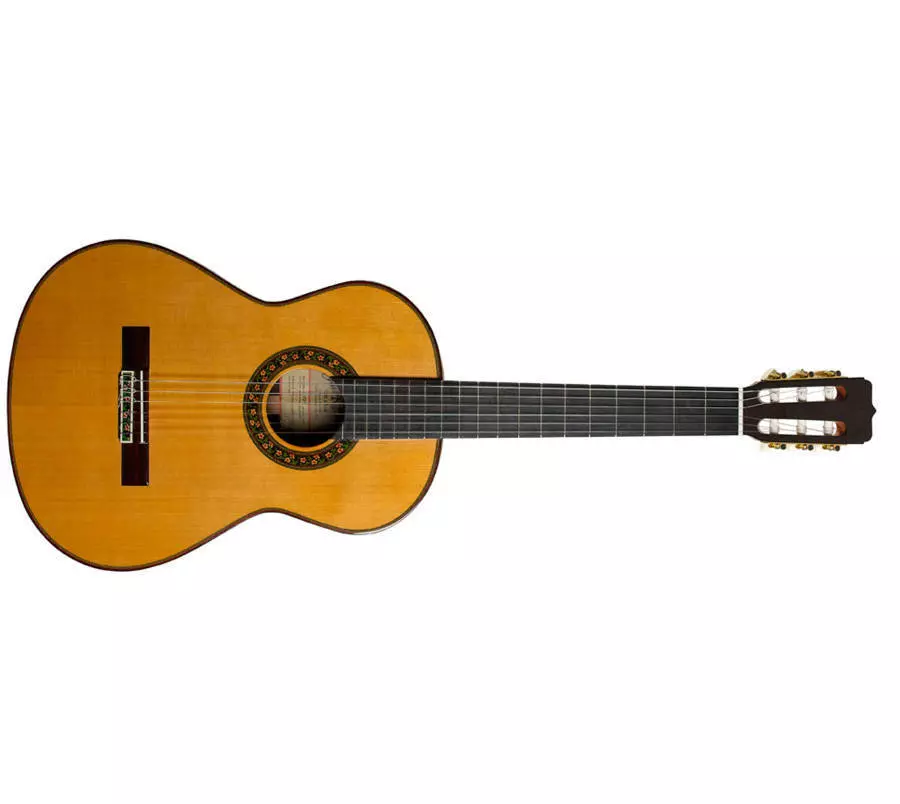 130th Anniversary Guitar