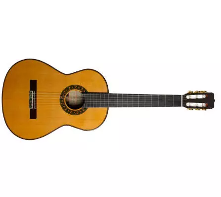 130th Anniversary Guitar