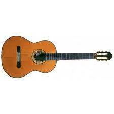 Model FG Acoustic - Cedar/Rosewood Classical Guitar