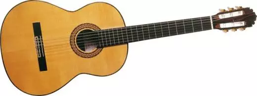 Model E Classical - Solid Spruce & Rosewood Back/Sides