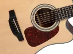 GD10CE Dreadnought Cutaway Acoustic/Electric Guitar - Natural Satin