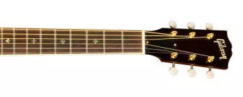 Jackson Browne Signature Acoustic Guitar