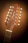 Dreadnought Acoustic/Electric 12 String Cutaway - Natural Gloss