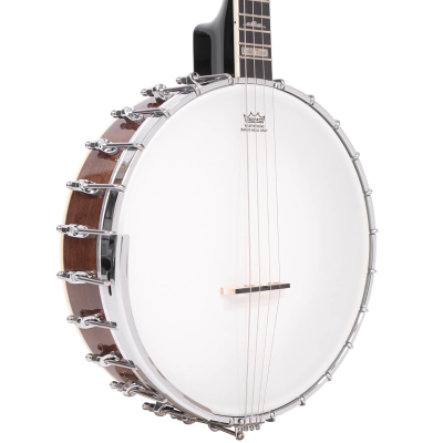 Irish Tenor Banjo