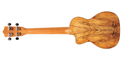 Tenor Ukulele, Spruce / Spalted Maple, Thin Body