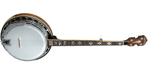 archtop banjo head