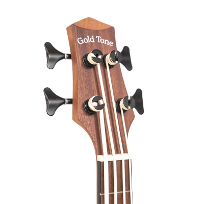 M-Bass25 25-Inch Scale Acoustic/Electric MicroBass with Gig Bag