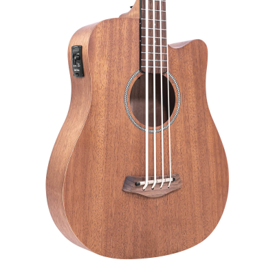 M-Bass25 25-Inch Scale Acoustic/Electric MicroBass with Gig Bag