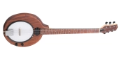 Gold Tone - EB-6 Electric Banjitar with Gig Bag