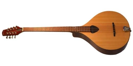 Gold Tone - Irish Bouzouki (Cittern) Solid Spruce/Mahogany Left-Handed w/Case